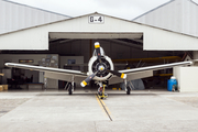 (Private) North American T-28B Trojan (N8574) at  Guatemala City - La Aurora, Guatemala
