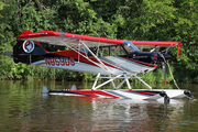 (Private) Aviat A-1C-200 Husky (N859DS) at  Vette/Blust - Oshkosh Seaplane Base, United States