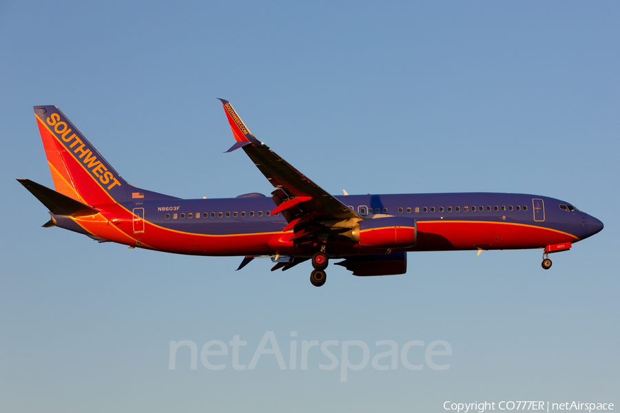 Southwest Airlines Boeing 737-8H4 (N8603F) | Photo 59277