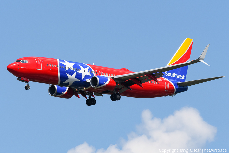 Southwest Airlines Boeing 737-8H4 (N8620H) | Photo 582943
