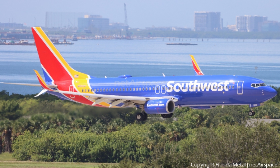 Southwest Airlines Boeing 737-8H4 (N8631A) | Photo 679639