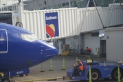 Southwest Airlines Boeing 737-8H4 (N8660A) at  St. Louis - Lambert International, United States