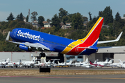 Southwest Airlines Boeing 737-8H4 (N8695D) at  Seattle - Boeing Field, United States