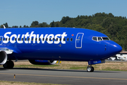 Southwest Airlines Boeing 737-8H4 (N8695D) at  Seattle - Boeing Field, United States