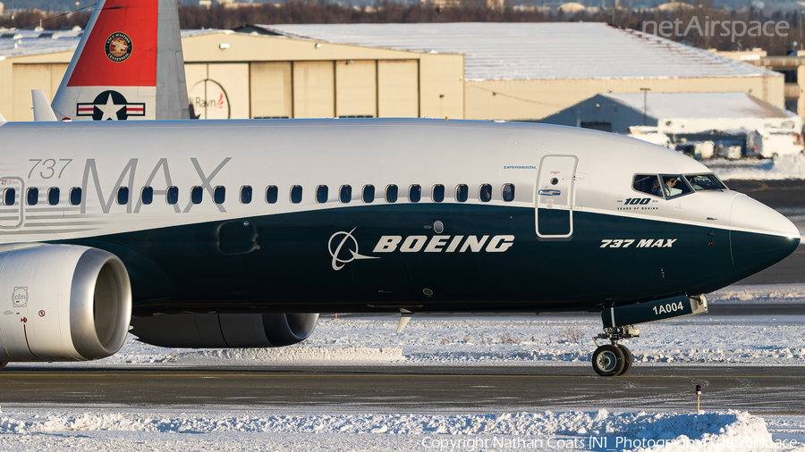 Boeing Company Boeing 737-8 MAX (N8704Q) | Photo 133433