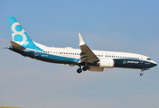 Boeing Company Boeing 737-8 MAX (N8704Q) at  Dallas - Love Field, United States