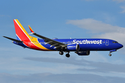 Southwest Airlines Boeing 737-8 MAX (N8714Q) at  Dallas - Love Field, United States