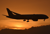 American Airlines Boeing 787-8 Dreamliner (N871AY) at  Dallas/Ft. Worth - International, United States
