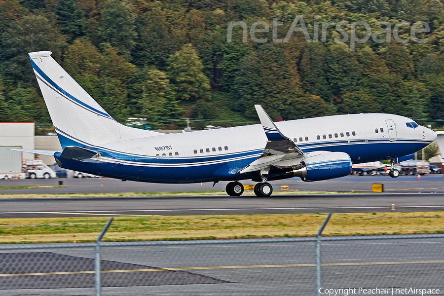 (Private) Boeing 737-7EG(BBJ) (N8767) | Photo 110701