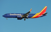 Southwest Airlines Boeing 737-8 MAX (N8800L) at  Tampa - International, United States