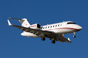 (Private) Bombardier CL-600-2B16 Challenger 605 (N880CM) at  Dallas - Love Field, United States