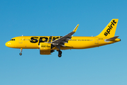 Spirit Airlines Airbus A320-271N (N902NK) at  Las Vegas - Harry Reid International, United States