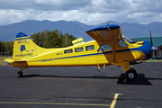 Alaska State Forestry de Havilland Canada U-6A Beaver (N904AK) at  Palmer, United States