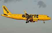 Spirit Airlines Airbus A320-271N (N904NK) at  Dallas/Ft. Worth - International, United States