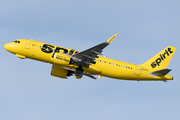 Spirit Airlines Airbus A320-271N (N905NK) at  Tampa - International, United States