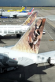 Frontier Airlines Airbus A319-111 (N906FR) at  Denver - International, United States