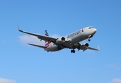 American Airlines Boeing 737-823 (N910AN) at  Los Angeles - International, United States