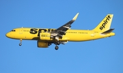 Spirit Airlines Airbus A320-271N (N915NK) at  Tampa - International, United States