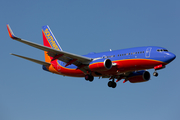 Southwest Airlines Boeing 737-7H4 (N915WN) at  Houston - Willam P. Hobby, United States