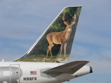 Frontier Airlines Airbus A319-111 (N918FR) at  Madison - Dane County Regional, United States