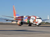 Southwest Airlines Boeing 737-7H4 (N918WN) at  Tucson - International, United States