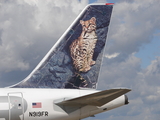 Frontier Airlines Airbus A319-111 (N919FR) at  Madison - Dane County Regional, United States