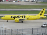 Spirit Airlines Airbus A320-271N (N919NK) at  Tampa - International, United States