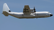 Pallas Aviation Lockheed Martin LM-100J Super Hercules (N91BU) at  Taipei - Taoyuan, Taiwan