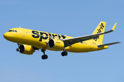 Spirit Airlines Airbus A320-271N (N922NK) at  Windsor Locks - Bradley International, United States