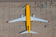 DHL (Kalitta Charters II) Boeing 737-8AS(BCF) (N9242Y) at  Marana - Pinal Air Park, United States