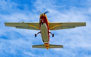 DHL (Africair) Cessna 208B Grand Caravan (N930HL) at  Philipsburg - Princess Juliana International, Netherland Antilles