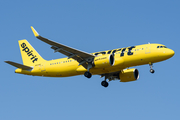 Spirit Airlines Airbus A320-271N (N934NK) at  Windsor Locks - Bradley International, United States