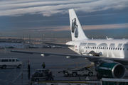 Frontier Airlines Airbus A319-111 (N939FR) at  Denver - International, United States