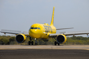 Spirit Airlines Airbus A320-271N (N941NK) at  Cartagena - Rafael Nunez International, Colombia