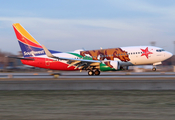 Southwest Airlines Boeing 737-7H4 (N943WN) at  Minneapolis - St. Paul International, United States