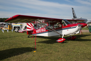 (Private) American Champion 8KCAB Super Decathlon (N951AG) at  Oshkosh - Wittman Regional, United States