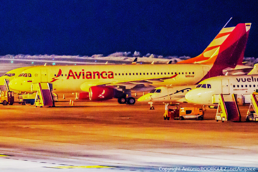 Avianca Airbus A320-214 (N951AV) | Photo 480960