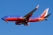 Southwest Airlines Boeing 737-7H4 (N951WN) at  Tampa - International, United States