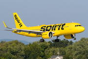 Spirit Airlines Airbus A320-271N (N953NK) at  Windsor Locks - Bradley International, United States