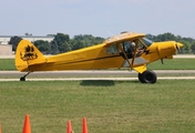 (Private) Piper PA-18-135 Super Cub (N954PC) at  Oshkosh - Wittman Regional, United States