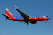 Southwest Airlines Boeing 737-7H4 (N955WN) at  Dallas - Love Field, United States