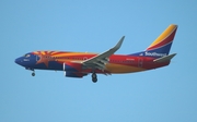 Southwest Airlines Boeing 737-7H4 (N955WN) at  San Francisco - International, United States