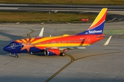 Southwest Airlines Boeing 737-7H4 (N955WN) at  Tampa - International, United States