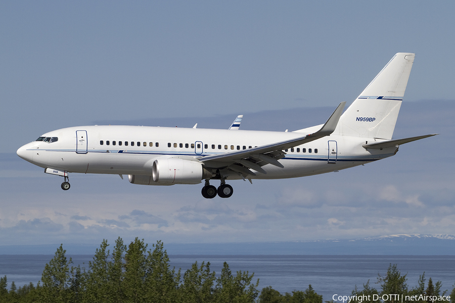 ConocoPhillips / BP - Shared Services Boeing 737-7BD (N959BP) | Photo 362575