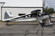 Sheldon Air Service de Havilland Canada U-6A Beaver (N95DG) at  Talkeetna, United States