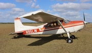 (Private) Cessna A185E Skywagon (N95LW) at  Keystone Heights, United States