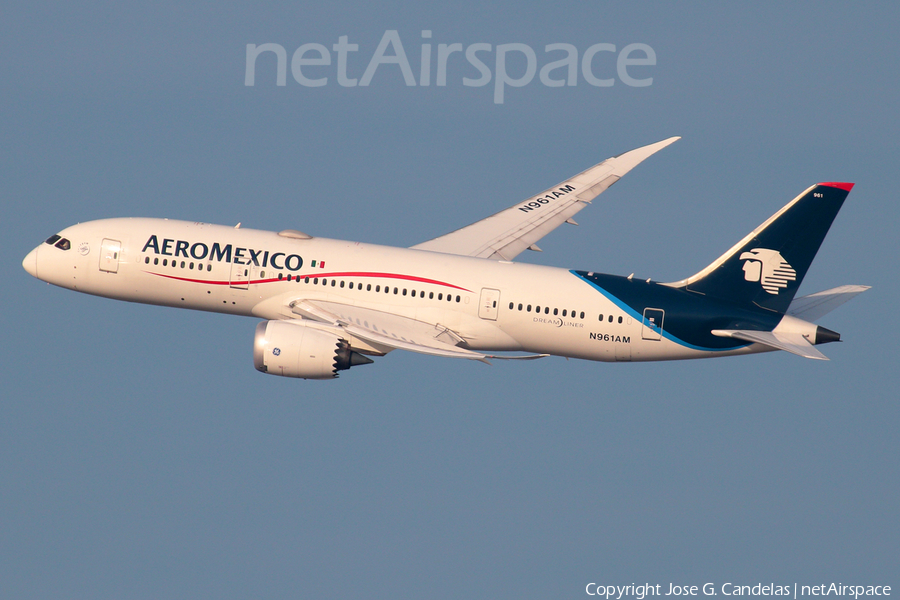 AeroMexico Boeing 787-8 Dreamliner (N961AM) | Photo 213765