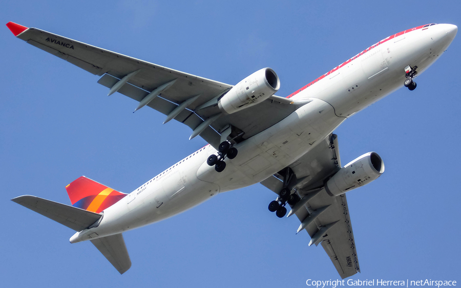 Avianca Airbus A330-243 (N969AV) | Photo 341294