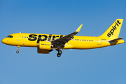 Spirit Airlines Airbus A320-271N (N980NK) at  Dallas/Ft. Worth - International, United States