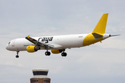 Raya Airways Airbus A321-211(P2F) (N982CM) at  Phoenix - Sky Harbor, United States